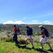 Trekking-safaris-in-Aberdare-National-Park-Kenya-582x582-1-582x450